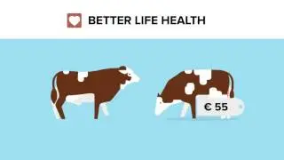 Better Life-Breeding values Fleckvieh: From Good to Better