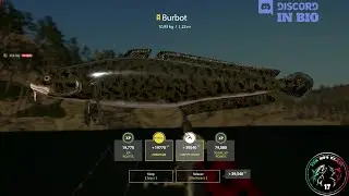 Kuori Lake spot, Trophy Burbot - #30 - Russian Fishing 4 / RF4