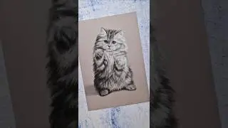 Pastel animal portraits #art #pastel #pastelart #pastelanimals #animalism #cat #commission #realism