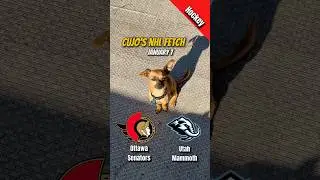 Ottawa Senators vs Utah Mammoth &mdash; January 7, 2026 | NHL | Cujo Catches