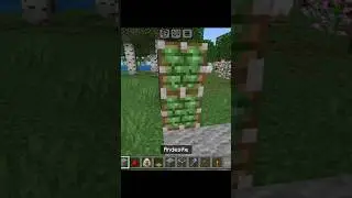 Minecraft Automatic Door💀#minecraft #shorts #automatic