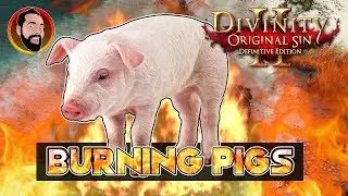 Сжигание свиней &mdash; Как снять проклятие &mdash; Divinity: Original Sin 2 &mdash; PS4