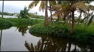 thodu desiltation near the house of Sivaramakrishnan murikjathara to Leela madathiparambil