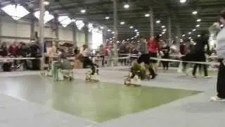 моно дельта пал 2015 МОН ШАРМЕ БЕЛЬ АМИ