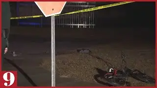 Two Dogs, Including Pitbull, Fatally Attack 8-Year-Old in Florida