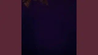 Novus