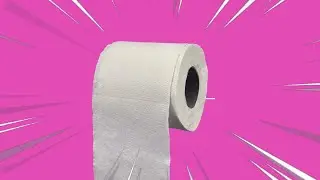 Where does Toilet Paper actually go?