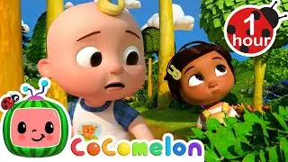 Teddy Bear Hide and Seek! 🐻 Best Animal Videos for Kids | Kids Songs and Nursery Rhymes