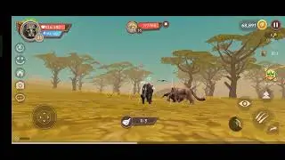 WildCraft Online Sim Gameplay 🐆 Cougar Starts His Powerful Journey