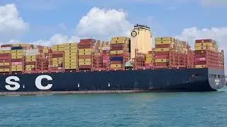 MSC DILETTA arrival @christianGms1508 #marineservicess #harbour #maritime #views #port 