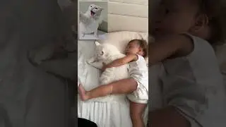 The angry cat, which you can never touch, sleeps in the same bed with the baby and does not harm him