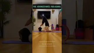 5 Advanced Wheel Yoga Inversions | Iyenger yoga | Diva Yoga  #yoga #backbend #balance #practice