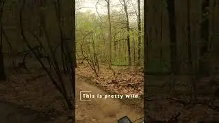 This is pretty wild.  #mtb #ridemoremtb