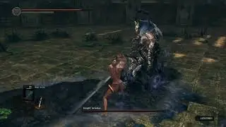 bloodhound step showcase