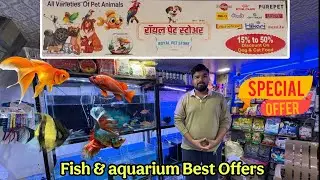 मराठी मुलगा अथर्व दादानी सुरु केला आहे फीश ॲक्वारीयमचा व्यवसाय| Best Aquarium Shop in Panvel #fish