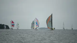 Kappseglingen Torsö-runt 2022 ombord på If-båten Zingoalla