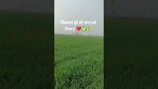 Farmer life Style in haryana 🌾🌾❤️#viral #video #farm #life #kisan #farming #khetibadi #youtubeshorts