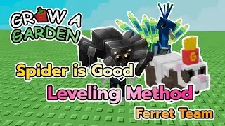 Roblox Grow a Garden Level Exp Method Ferret Low cost Spider ดีมาก