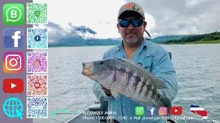 Arenal Lake Fishing Rainbow Bass - Catch and Release Pesca Guapote, Lago Arenal