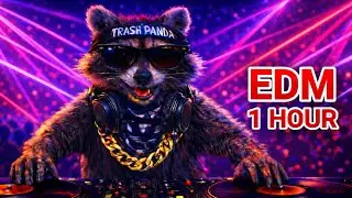 🦝 High Energy Workout EDM Mix 1 Hour+ | Bass Boosted 🔥