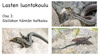Lasten luontokoulu, osa I: Sisiliskon h&auml;nn&auml;n katkaisu
