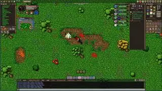 POKETIBIA 2020 // POKEMONBR EVENTO PASCOA PVP