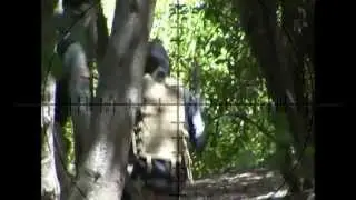 Airsoft Kill Cam Compilation