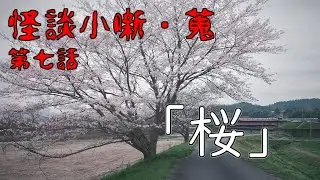 桜の木の下に埋まっているのは…【怪談小噺・蒐/桜】
