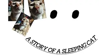 A story of a sleeping cat.part-1.