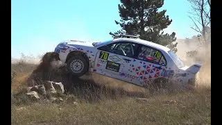 Rallye Terre des Cardabelles 2024 Crashes & Mistakes - RallyeFix