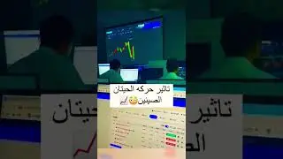 Impact of Chinese whale movement تأثير حركة الحيتان الصينيين #china #whale #pi #pinetwork #bitcoin