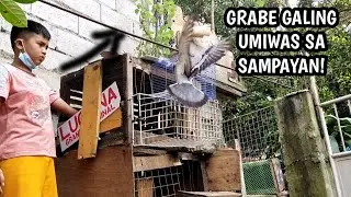 KALAPATI NI BUCHOG , GRABE GALING UMIWAS SA SAMPAYAN