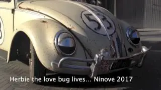 Herbie the &lsquo;Love Bug&rsquo; lives Ninove 2017