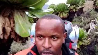 Hiking Mt Kenya via Sirimon route