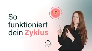 So funktioniert dein Zyklus: der Menstruationszyklus einfach erklärt