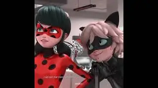 Cat Noa