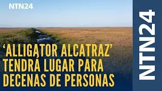 Así será la cárcel para migrantes que se construye en una zona repleta de cocodrilos en Florida