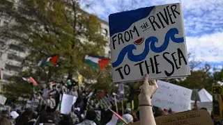'Moral imbeciles': Newsweek Opinion Editor slams 'idiot' pro-Hamas activists