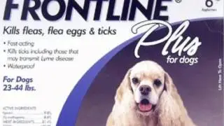 Merial Frontline Plus Flea and Tick Control for Dogs review