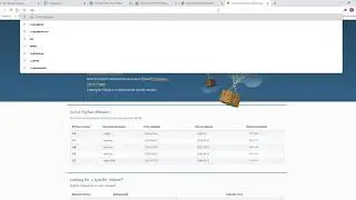 Установка Python и Notepad++
