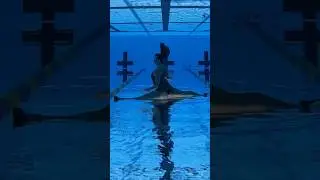 Flat split on water 💧🤸🏼&zwj;♂️ #underwater #gymnast #split #pool #acrobatics