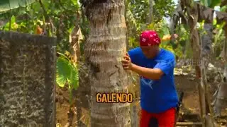 GALENDO | JEJAK SI GUNDUL (04/05/21)