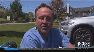 Fisherman Survives After He Says He Went Into Whale's Mouth Off Cape Cod