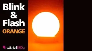 Blink en flash orange prikkabel led lamp