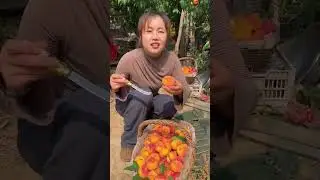 Experience the Beauty of Fresh Peach Farming and Cutting Expertise #PeachFarm #FreshFruit