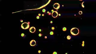 Nematic Droplets