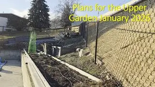 Plans for the Upper Garden Jan 2026