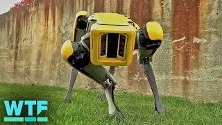 Boston Dynamics Spot robot is ready to leave the nest