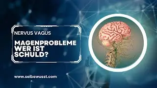 Der m&auml;chtige Vagus. Magenprobleme l&ouml;sen. Manuelle Techniken.
