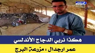 مزرعة البرج باقليم شيشاوة : الدجاج الاندلسي